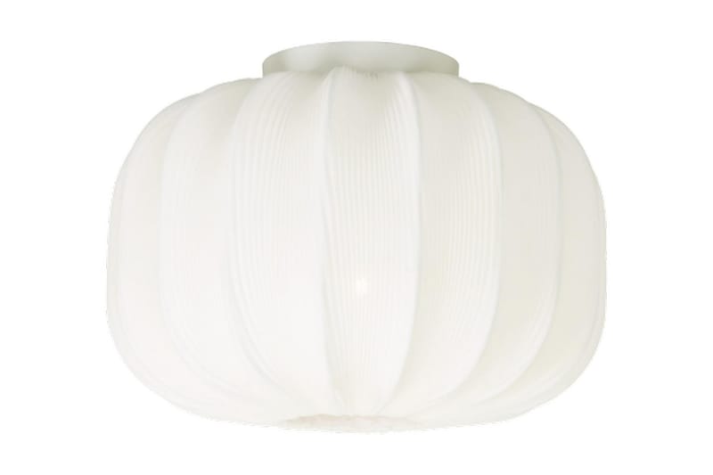 Aneta Madame Plafond 330 cm - Aneta Lighting - Belysning & el - Inomhusbelysning & Lampor - Taklampa & takbelysning - Plafond