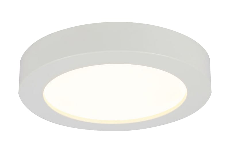 Paula Plafond 24 cm Vit - Globo Lighting - Belysning & el - Inomhusbelysning & Lampor - Taklampa & takbelysning - Plafond