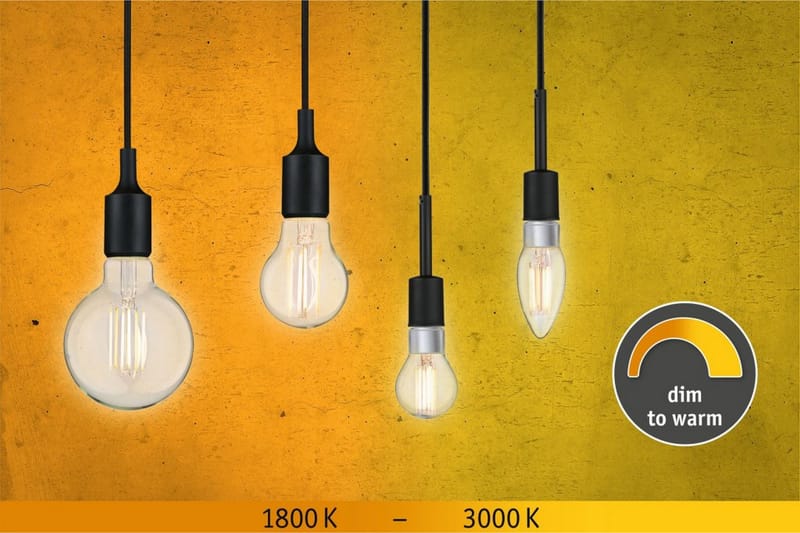 Paulmann LED-lampa - Transparent - Belysning & el - Ljuskällor & glödlampor - Glödlampor