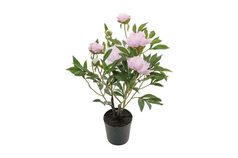 Pion Konstväxt 70 cm - Rosa - Heminredning - Dekoration - Konstgjorda växter