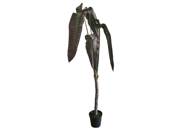 Alocasia Konstväxt 220 cm - Burgundy - Inredning - Konstgjorda växter & plastväxter