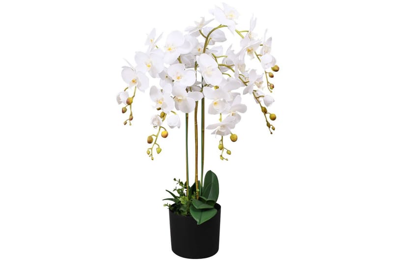 Konstväxt Orkidé med kruka 75 cm vit