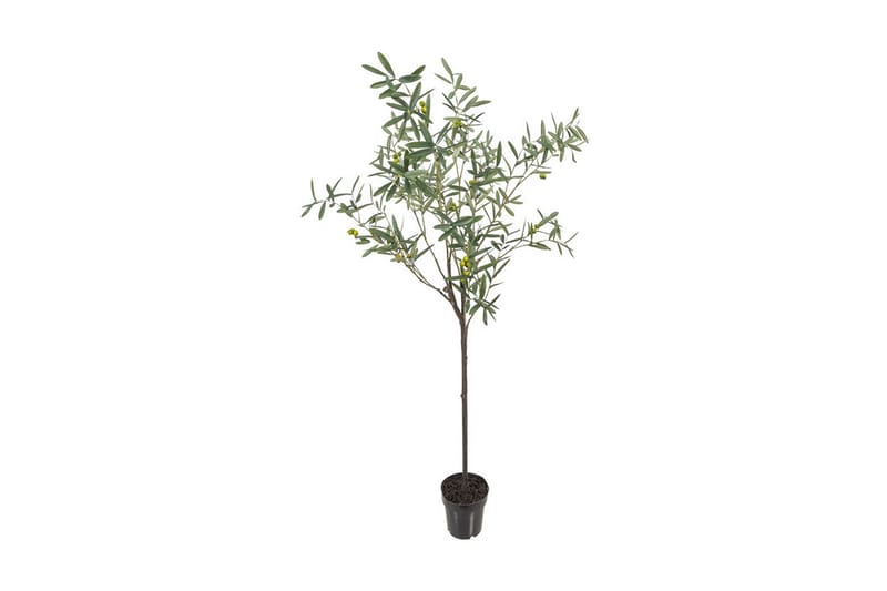 Oliv Konstväxt 170 cm - Grön - Inredning - Konstgjorda växter & plastväxter