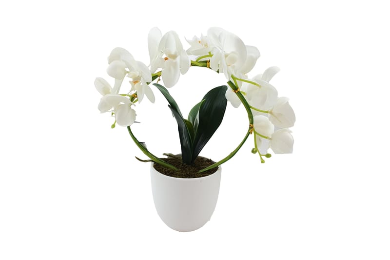 Orkidé Båge Artificiell med Kruka 38 cm - Vit/Grön/Brun - Inredning - Vas