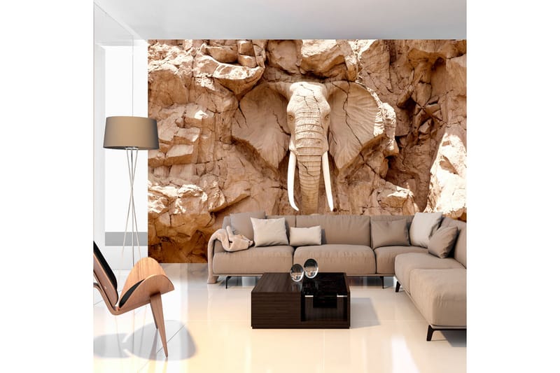 Fototapet Stone Elephant South Africa 300x210 - Finns i flera storlekar - Heminredning - Tapeter - Fototapeter