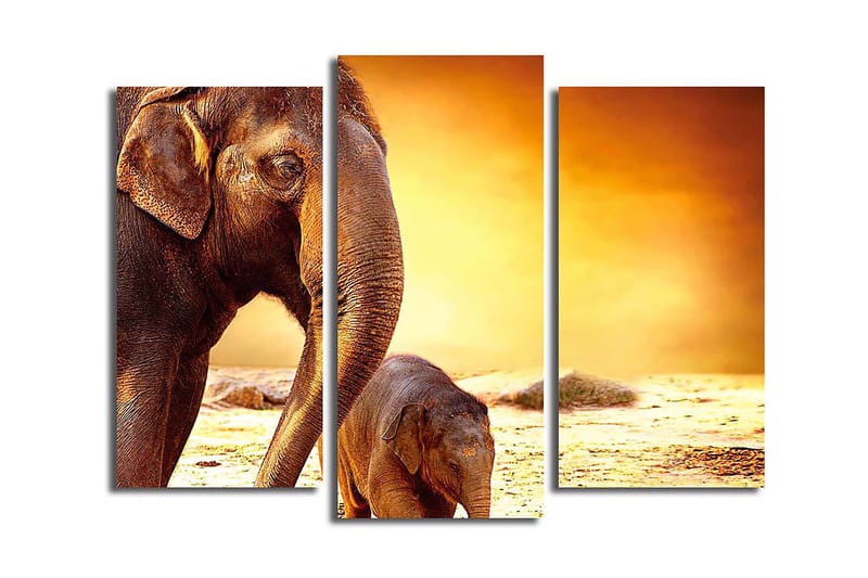 Canvastavla Animal 3-pack Flerfärgad - 20x39 cm - Inredning - Tavlor & konst - Canvastavlor