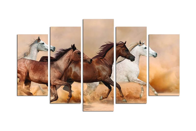 Canvastavla Animals 5-pack Flerfärgad - 20x60 cm - Inredning - Tavlor & konst - Canvastavlor