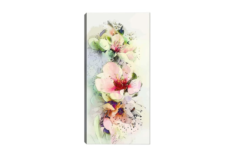 Canvastavla DKY Floral & Botanical Flerfärgad - 50x120 cm - Inredning - Tavlor & konst - Canvastavlor