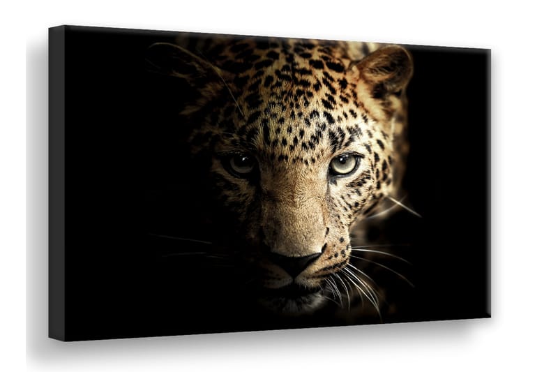 Leopard Digitalprintad Tavla Canvas - 75x100cm - Utemöbler - Solskydd - Paviljong - Komplett paviljong