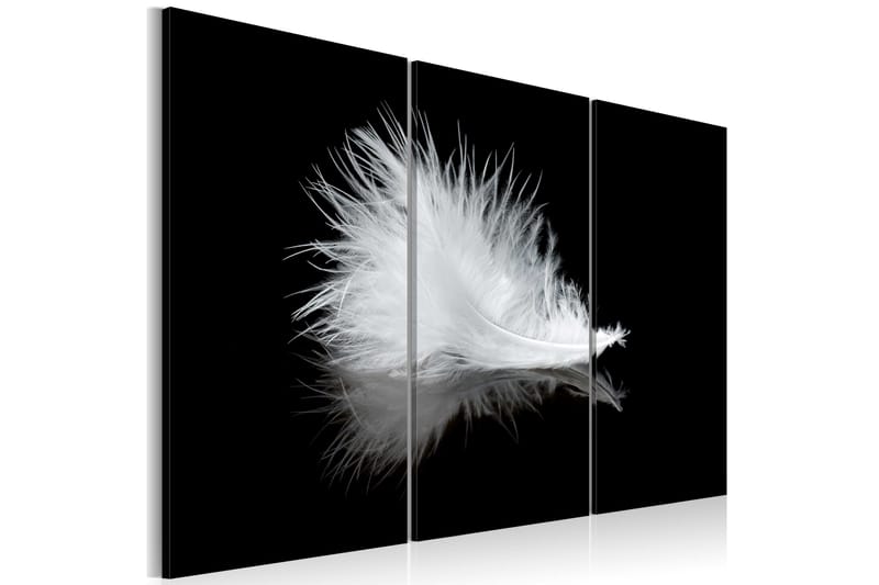 Tavla A Small Feather 60x40 - Artgeist sp. z o. o. - Inredning - Tavlor & konst - Canvastavlor
