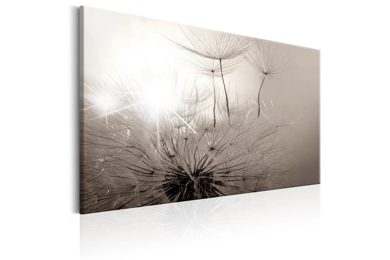 Tavla Beautiful Summer: Dandelions 90x60 - Artgeist sp. z o. o. - Inredning - Tavlor & konst - Canvastavlor