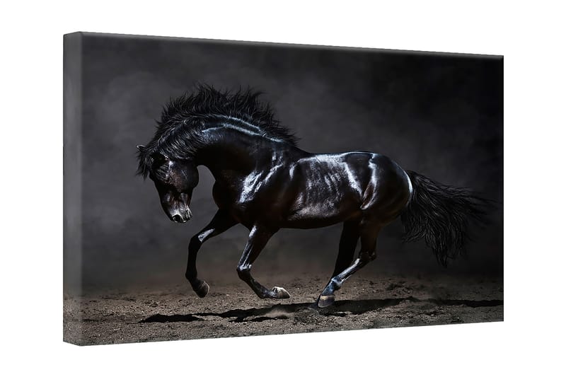 Tavla Canvas Silver Black Horse - 75x100 cm - Inredning - Väggdekor