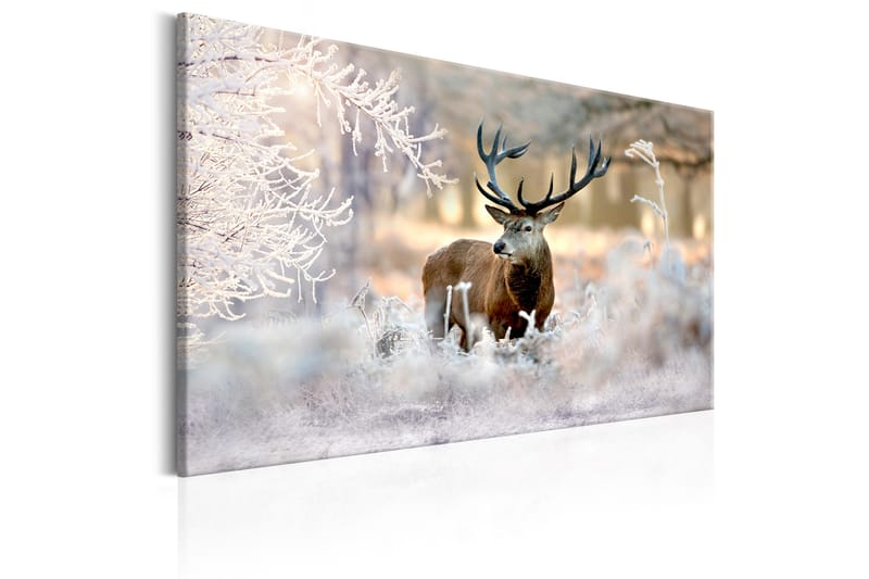 Tavla Deer In The Cold 120x80 - Artgeist sp. z o. o. - Inredning - Tavlor & konst - Canvastavlor