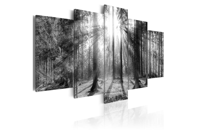 Tavla Forest Of Memories 200x100 - Artgeist sp. z o. o. - Inredning - Tavlor & konst - Canvastavlor
