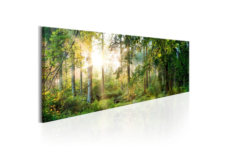 Tavla Forest Shelter 150x50 - Artgeist sp. z o. o. - Inredning - Tavlor & konst - Canvastavlor