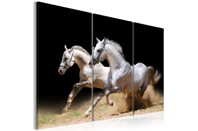 Tavla Horses- Power And Velocity 120x80 - Artgeist sp. z o. o. - Inredning - Tavlor & konst - Canvastavlor