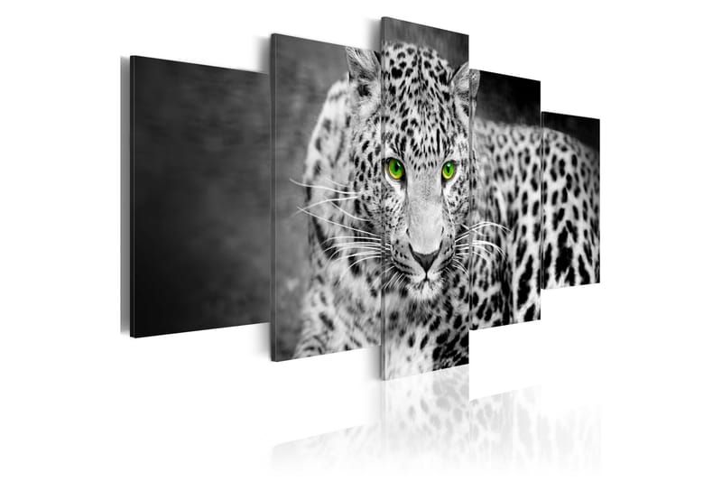 Tavla Leopard Black&White 200x100 - Artgeist sp. z o. o. - Textil & mattor - Badrumstextilier - Badlakan & badhandduk