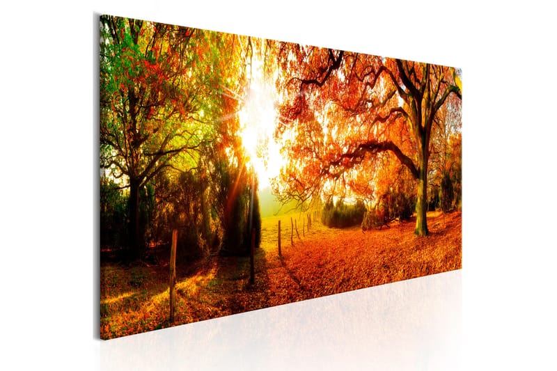 Tavla Magic Of Autumn 150x50 - Artgeist sp. z o. o. - Inredning - Tavlor & konst - Canvastavlor