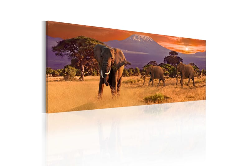 Tavla March Of African Elephants 120x40 - Artgeist sp. z o. o. - Inredning - Tavlor & konst - Canvastavlor