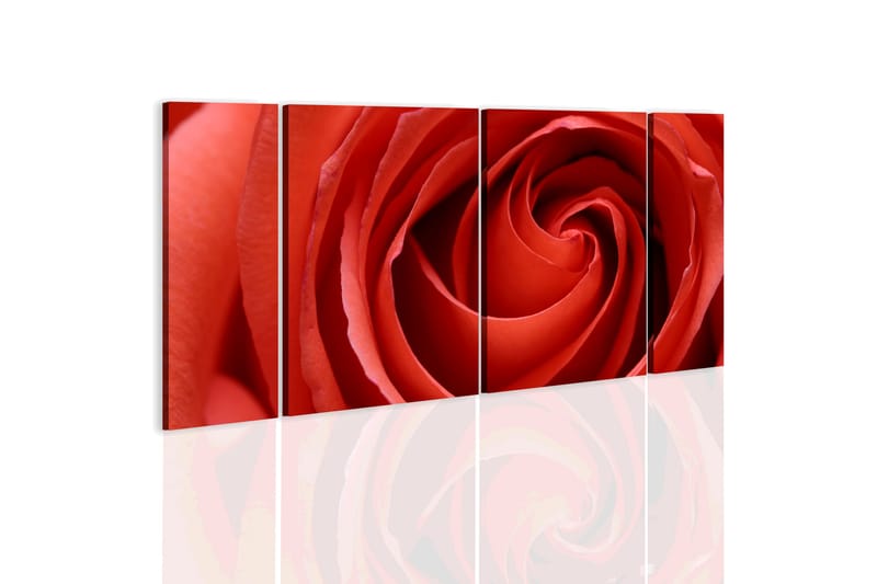Tavla Passionate Rose 60x30 - Artgeist sp. z o. o. - Inredning - Tavlor & konst - Canvastavlor