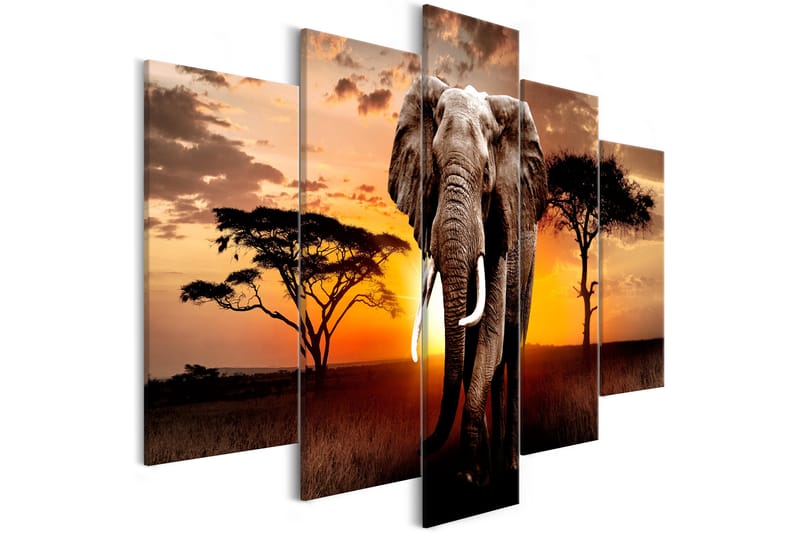 Tavla Wandering Elephant 5 Parts Wide 225x100 - Artgeist sp. z o. o. - Inredning - Tavlor & konst - Canvastavlor