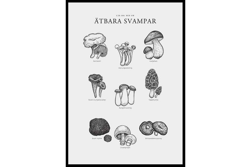 Ätbara Svampar Illustration Svartvit - 21x30 cm - Inredning - Tavlor & konst