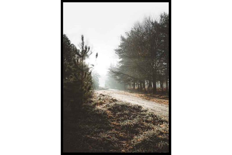 Autumnal Forest Path Foto Grå/Brun - 50x70 cm - Inredning - Tavlor & konst - Posters & prints