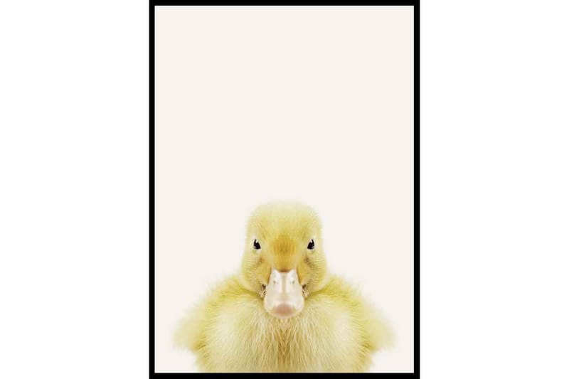 Baby Duck - Finns i flera storlekar - Inredning - Tavlor & konst - Posters & prints