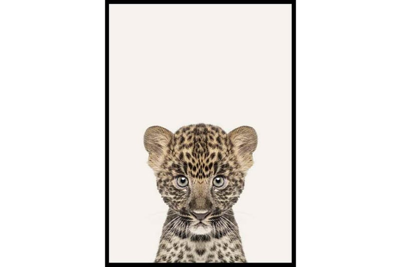 Baby Leopard Foto Beige/Brun - 21x30 cm - Inredning - Tavlor & konst - Posters & prints