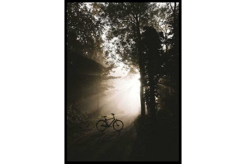 Bike In The Forest Foto Svart/Beige