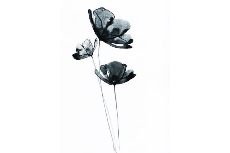 Black Flower Watercolour Painting Vit - 50x70 cm - Inredning - Tavlor & konst - Posters & prints