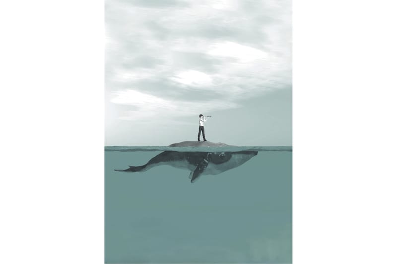 Boy & Whale Foto Blå/Grå - 50x70 cm - Inredning - Tavlor & konst - Posters & prints