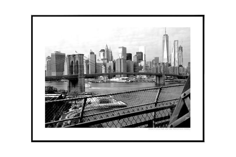 Brooklyn Bridge Park B&W Foto Svartvit