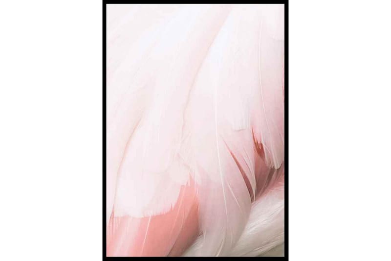 Flamingo Feathers Foto Rosa/Vit - 30x40 cm - Inredning - Tavlor & konst - Posters & prints - Djur poster