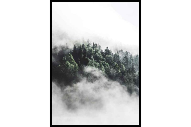 Forest In Mist Foto Grön/Grå - 50x70 cm - Inredning - Tavlor & konst - Posters & prints