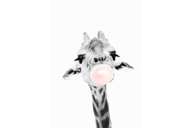 Giraffe Pink Bubblegum Illustration Vit/Grå/Rosa - 50x70 cm - Inredning - Tavlor & konst - Posters & prints