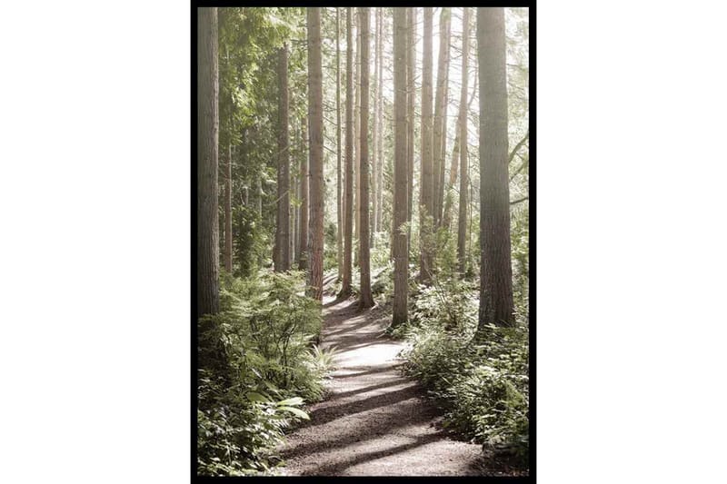 Green Sunny Forest Foto Grå/Grön - 30x40 cm - Inredning - Tavlor & konst - Posters & prints