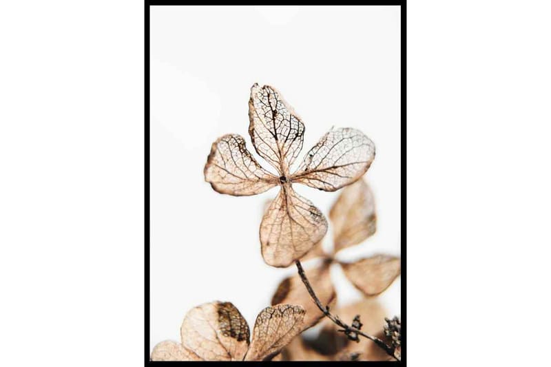 Intricate Delicate Leaves Foto Beige/Vit