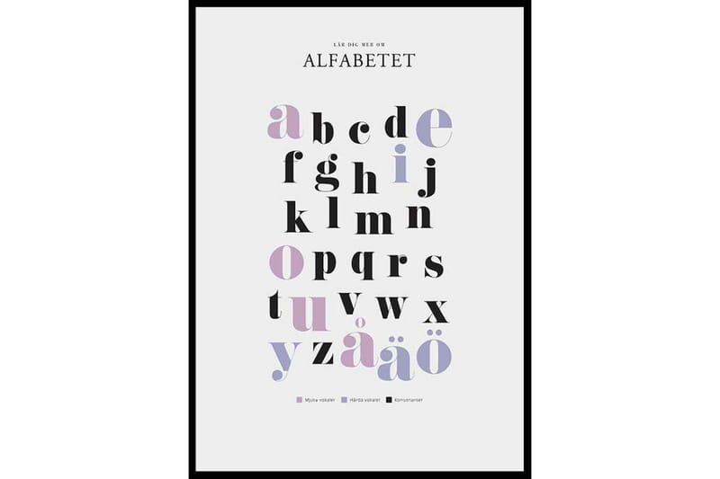 Lär Dig Mer Om Alfabetet Text Lila/Rosa/Svartvit - 30x40 cm - Inredning - Tavlor & konst - Posters & prints - Text poster - Alfabetet & ABC posters
