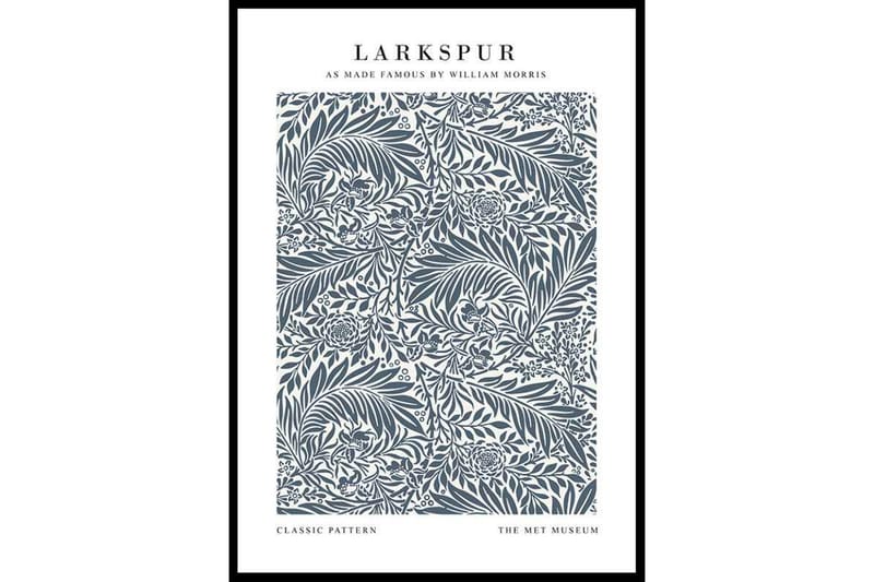 Larkspur by William Morris Illustration Blå/Vit - 50x70 cm - Inredning - Tavlor & konst - Posters & prints - Botaniska posters