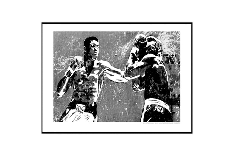 Mohammad Ali in Action B&W Illustration Svartvit