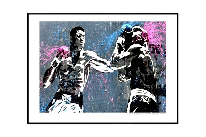 Mohammad Ali in Action Illustration Blå/Rosa/Svartvit