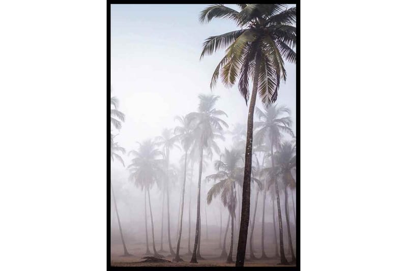 Palms In Haze - Finns i flera storlekar - Inredning - Tavlor & konst - Posters & prints
