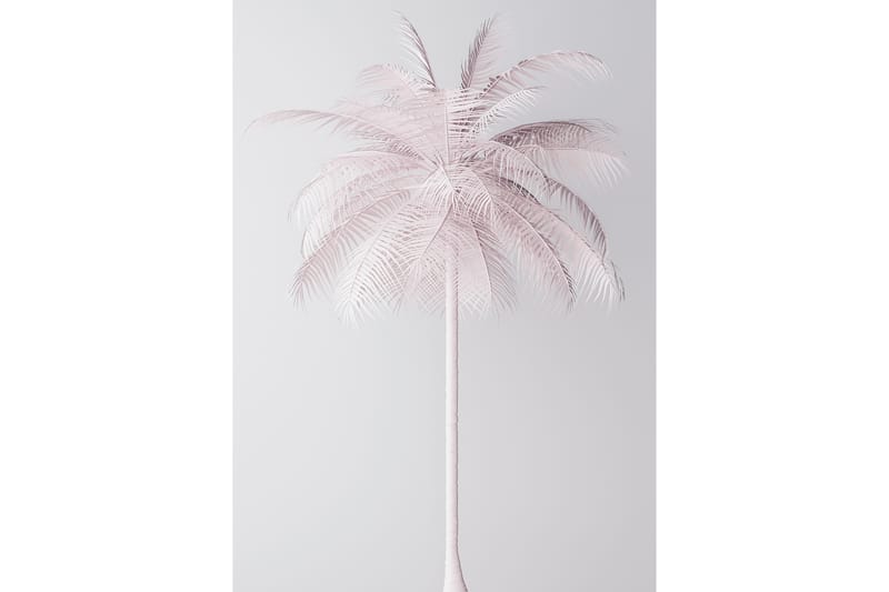 Palmtree Foto Rosa/Vit - 50x70 cm - Inredning - Tavlor & konst - Posters & prints