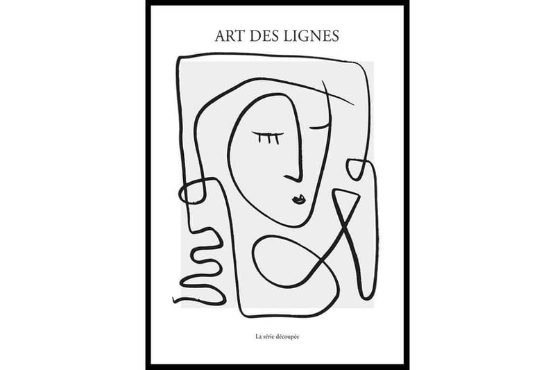 Picasso Inspired - Art Des Lignes No3 Abstract Grå/Vit