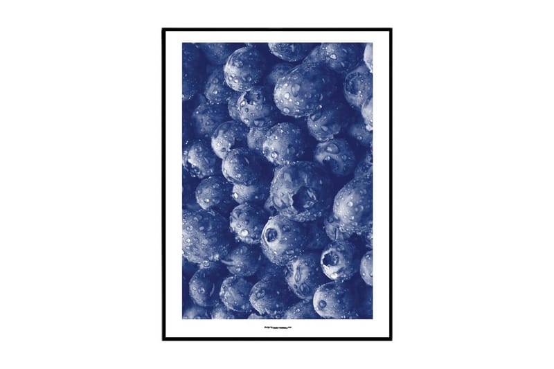 Poster Blueberries