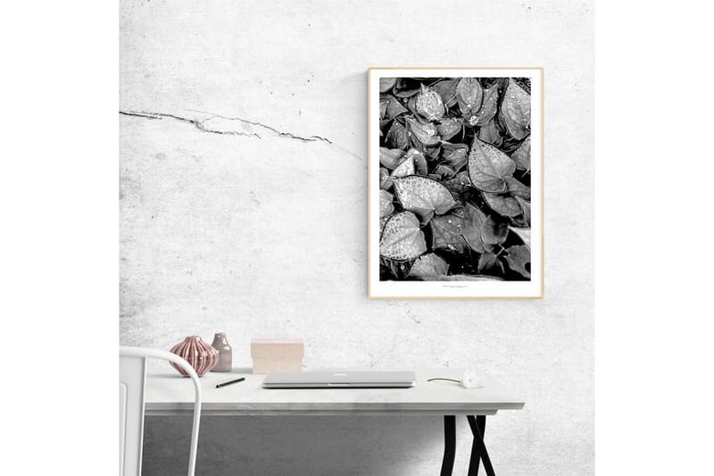 Poster Leaf Life - 40x50 cm - Inredning - Tavlor & konst - Posters & prints