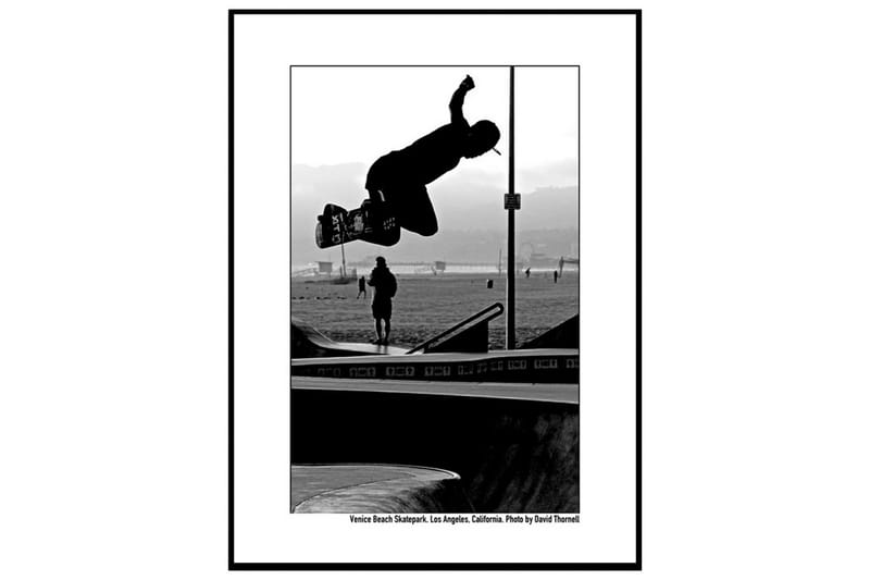 Skateboarder @ Venice Skate Park Foto Svartvit