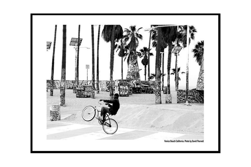 Venice Beach Biker - LA, CA Foto Svartvit