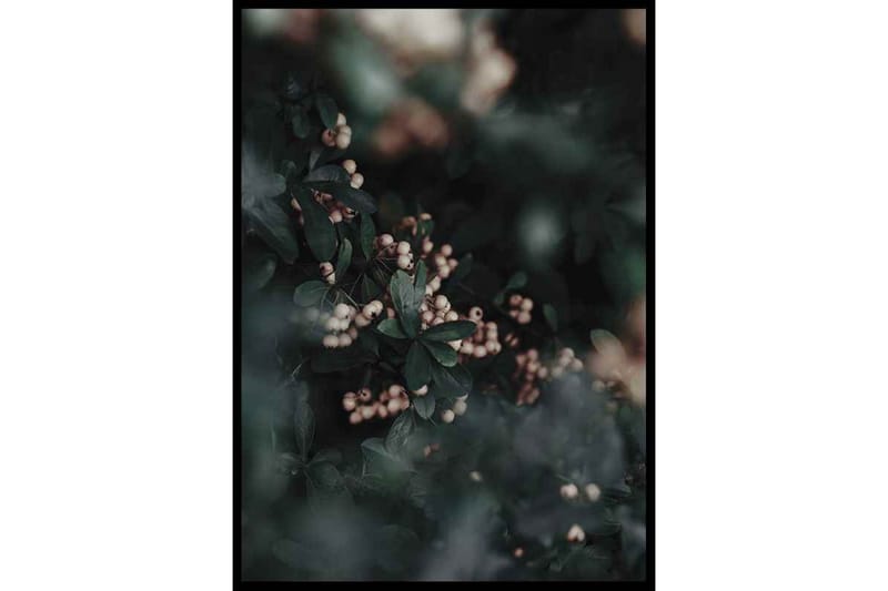 Winter Berry Tree Foto Grön/Vit - 21x30 cm - Inredning - Tavlor & konst - Posters & prints